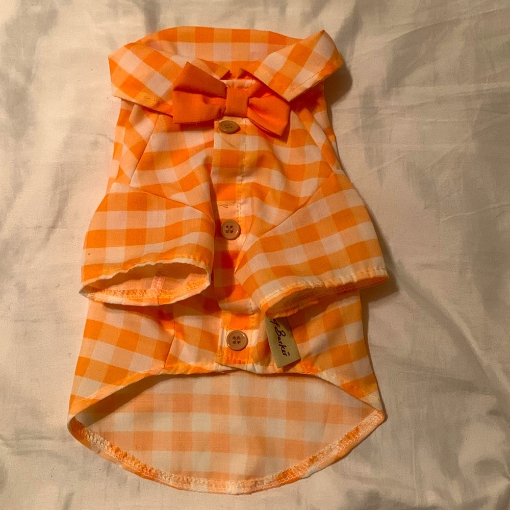 Orange checkered, doggy shirt